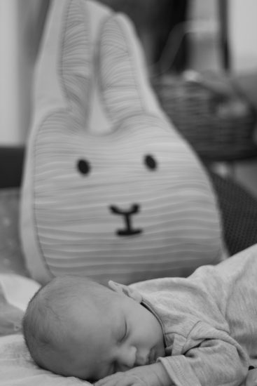 צילום אירועים- גלריה