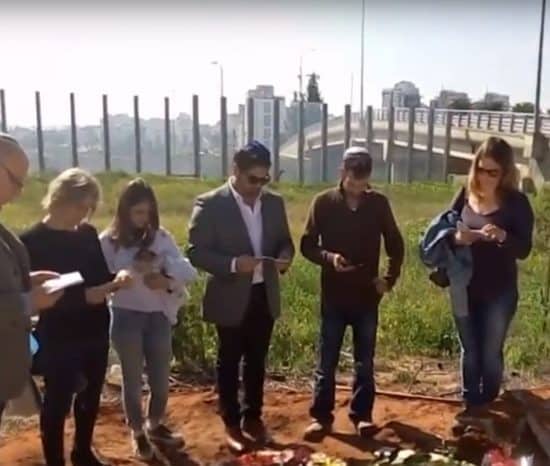 גלרית סרטונים