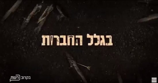גלרית סרטונים