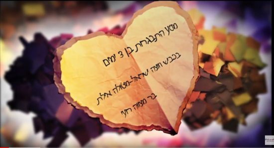 גלרית סרטונים