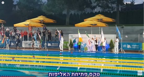 גלרית סרטונים