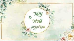 גלרית סרטונים